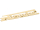 Gold Schriftzug für Schwalbe Knieblech KR51/1 & KR51/2