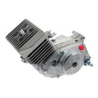 Komplettmotor 60ccm, 4-Gang, Gehäuse natur, NPC...