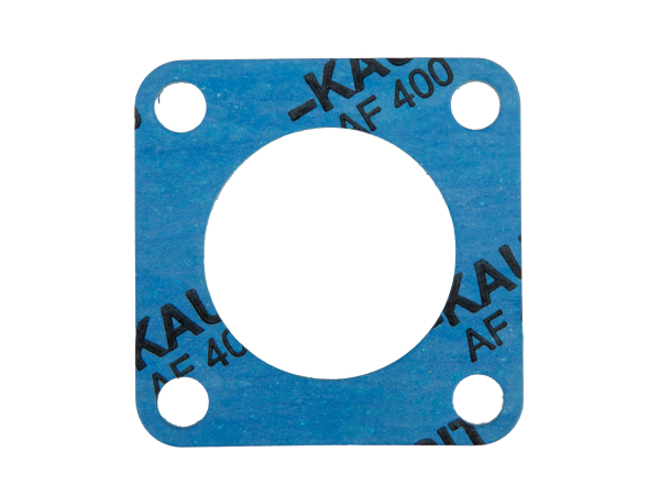 Kautasit AF400 Dichtung für Dichtkappe S51 -M541