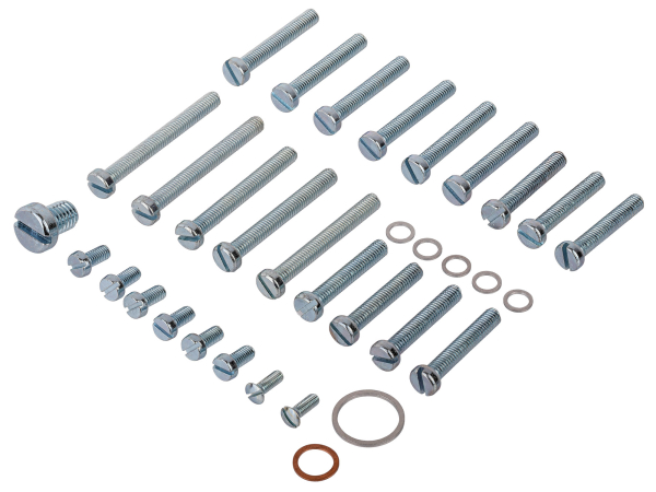 Simson S50 Motorregenerierung - Komplettsatz