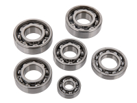 Set Motorregenerierung M541 für S51, SR50, Schwalbe...