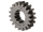 Festrad 19 Zahn für Motor M541 S51, Kr51/2