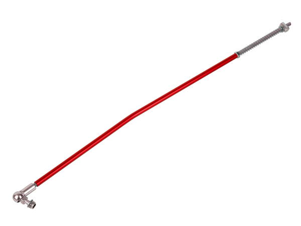 Rot